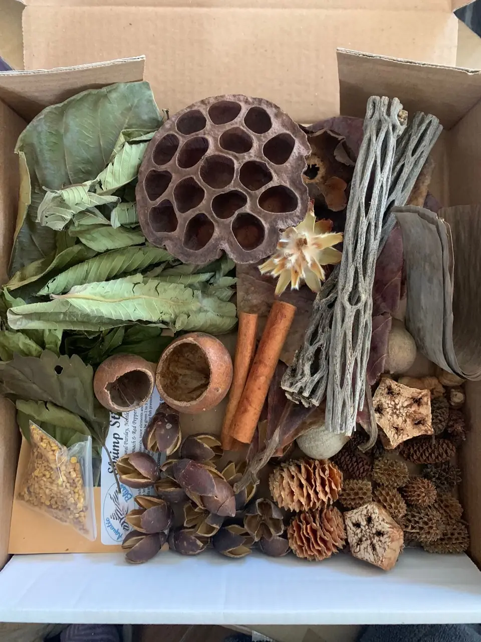 Botanical box product photo