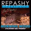 Morning Wood Repashy product photo